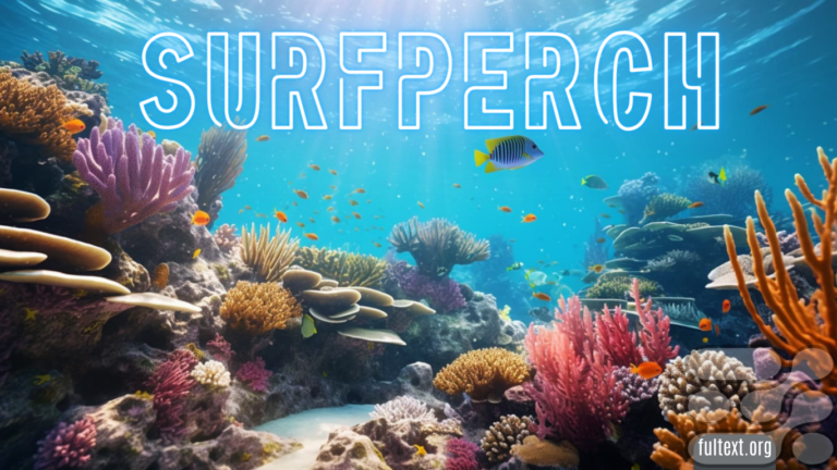Google Will Use Artificial Intelligence to Save Corals