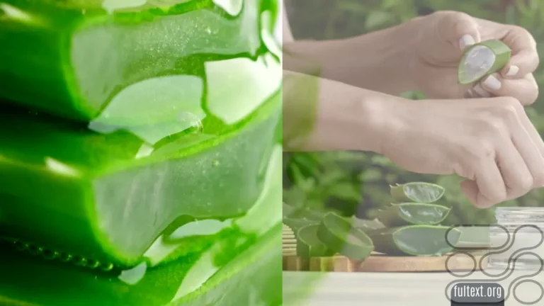 Washington Post reported Is Aloe Vera the key to perfect skin